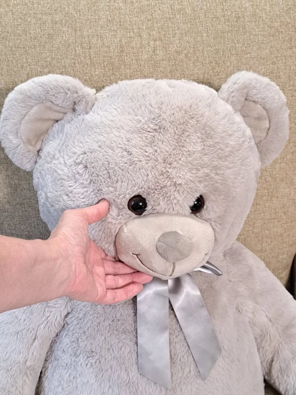 Large Plush Teddy Bear, very soft